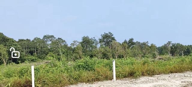 1 Acre International Lot Kg Tiram Duku, Gelang Patah 1