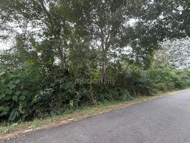Parit Rambai Rambah Mukim Rimba Terjun Pontian 1