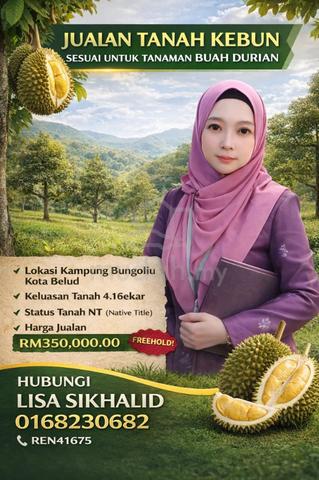 Tanah Kebun Khas untuk Sawit dan Durian Kampung Bungoliu Kota Belud 1