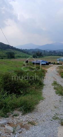 Kerling Hulu Selangor tanah dusun sekitar ada jiran dan homestay 1
