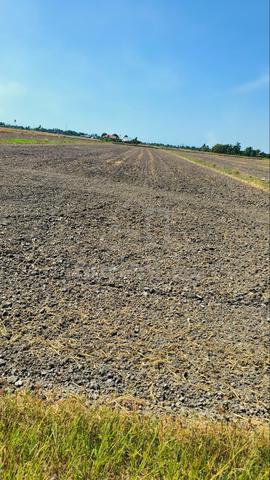 Tanah Sawah/Bendang untuk Dijual, 1.41 Ekar, Sungai Besar/Sabak Bernam 1