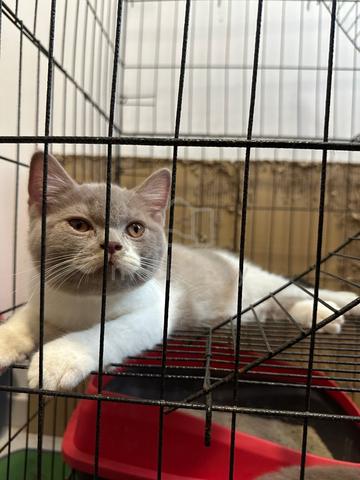 Carousel Image