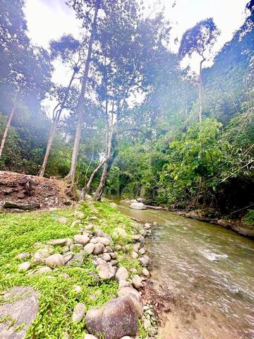 Tanah Pertanian 1.26 ekar Janda Baik Bentong FOR SALE 1