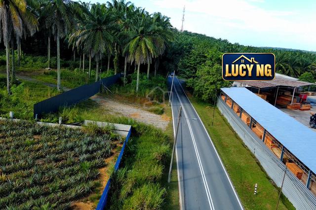 Main Road | Agricultural Land | Bukit Teh | Machang Bubok t 1
