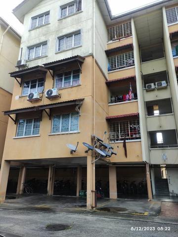 Seri Palma 1