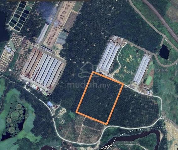 Agriculture Flat Land 1