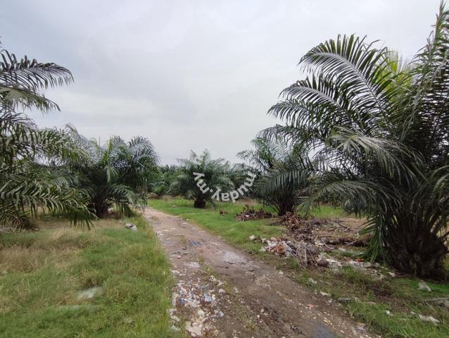 Nice!! Nice!! Jenjarom 4.512 acres agricultural land zoned residential 1