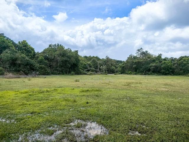 Tanah LOT GRED A 508MP KG PADANG LIMAU NIPIS BUKIT PAYUNG Marang 5