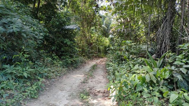 (Direct Owner) Tanah Pertanian 2 Ekar Semantong Lenggeng 1