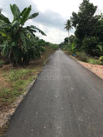 BENUT 5.5 ACRES AGRICULTURAL LAND for rent 1