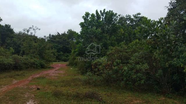 Lot Banglo PADANG PULUTPadang Pulut - Untuk Dijual Segera- URGENT!! 3