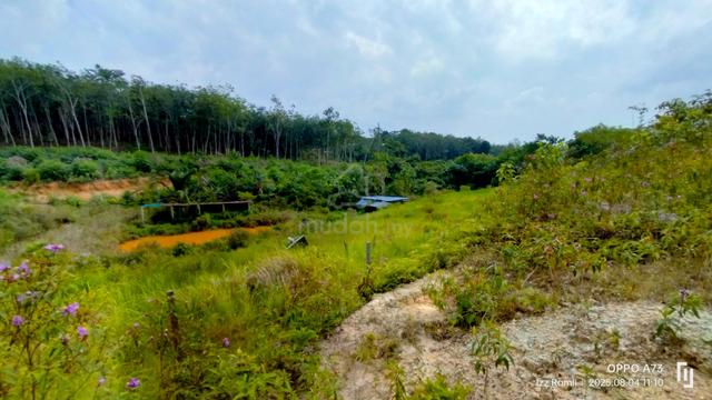 1.2 Ekar Labu Kg Pulau (ANAK SUNGAI+SESUAI KEBUN+KOLAM+AKSES KERETA) 1