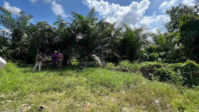Tanah Sawit di Kampong Permatang, Manjung, Perak untuk Dijual 1