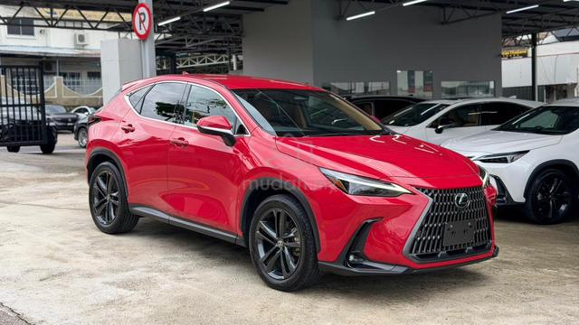 * Light Brown SEAT 4.5B *✨2023 Lexus NX 250 LUXURY - 1
