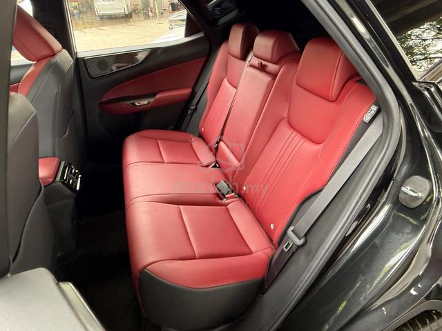 2023 Lexus NX250 2.5 LUXURY P/Shift P/Roof Camera - 4