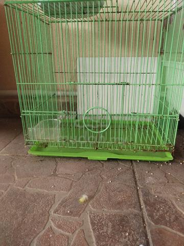 sangkar burung  - photo 2 of 4