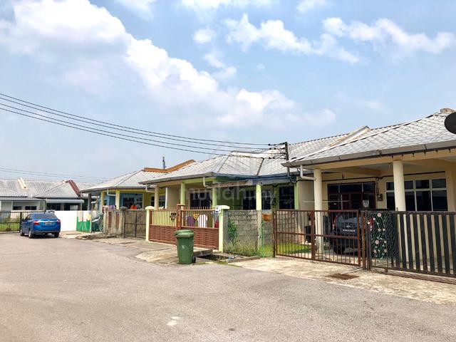 100% LON, Teres Setingkatt, KOPODIM MATANG 1
