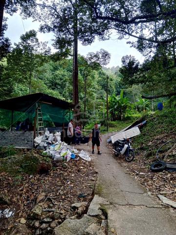 Accessible Matured Durian Plantation at Bat Cave, Penang Hill for sale 1