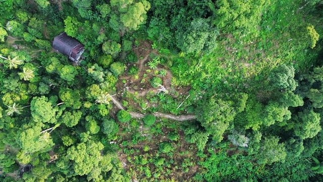 Penang Gertak Sangul Agricultural Freehold Land For Sale 1