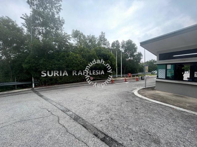 Suria Rafflesia 2