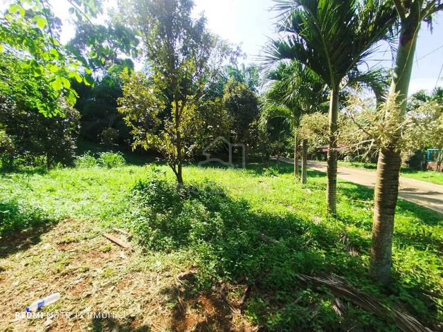 Dusun Freehold Gelang chinchin serta Tiny house cantik 1