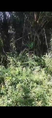 Sijangkang Batu 9, Jalan Kebun Baru, 📌2.121Acres flat Land for sale 4