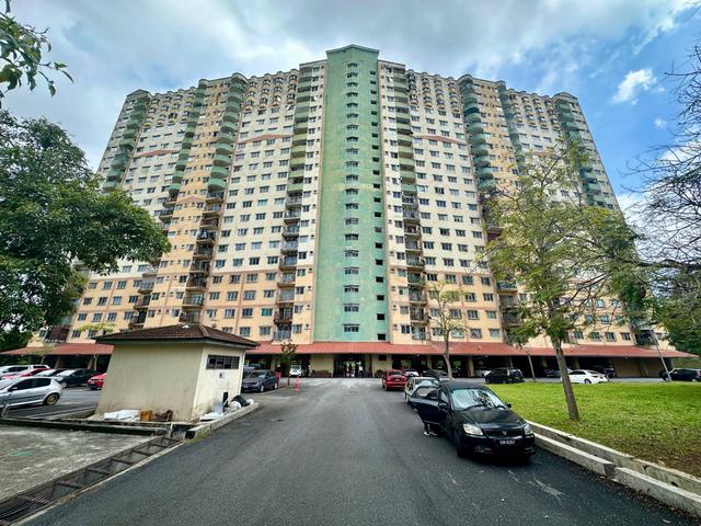 Desaminium Rimba 1