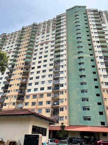 Desaminium Rimba 1