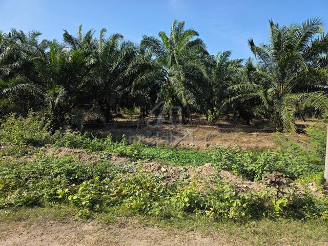 Kapar Jeram Land 4 Acres Freehold 1