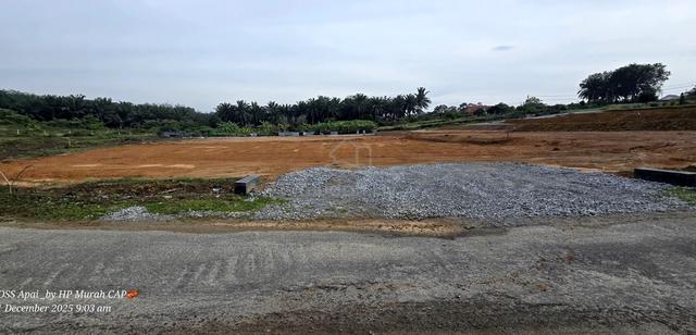 Tanah 10,000 kaki persegi di Kg.Tedong, Merlimau. Siap kos Pecah Geran 1
