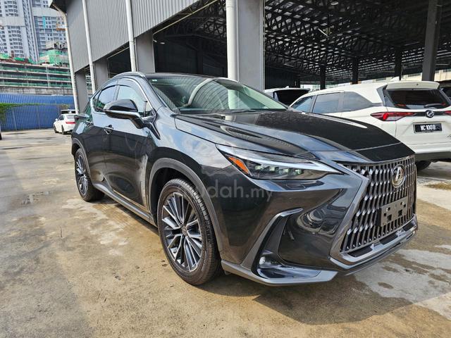 2023 Lexus NX 250 2.5 NFL P/R 4Cam BSM PB Unreg - 1