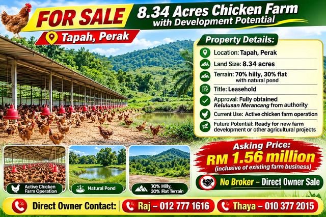 land for sale 8.34 acre. There is chicken farm on going. 1
