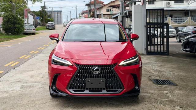 * Light Brown SEAT 4.5B *✨2023 Lexus NX 250 LUXURY - 2