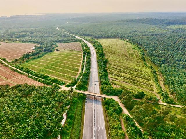 Strategic Freehold Land Bank Port Dickson, Negeri Sembilan 1