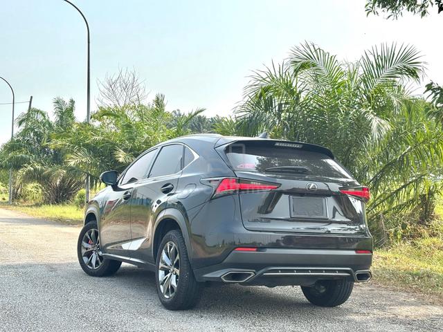 2018 Lexus NX300 2.0 F SPORT (A) - 4