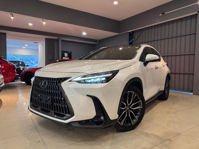 2023 Lexus NX250 2.5 Version L Unreg 5A full spec - 2