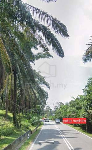 Ladang Kelapa Sawit di Sungai Lembu, B.Mertajam 1