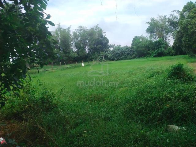 Tanah Pertanian di Kuala Ibai Berhampiran Bandar KT 1