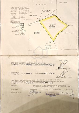 [NEGO] 6 Ekar Tanah Pertanian Kota Belud (Native Title) 1