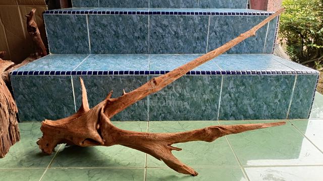 kayu hiasan aquarium tank Discus cun - photo 4 of 4