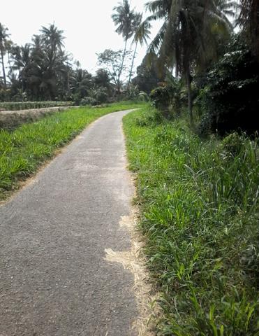 Tanah DI Alma 1
