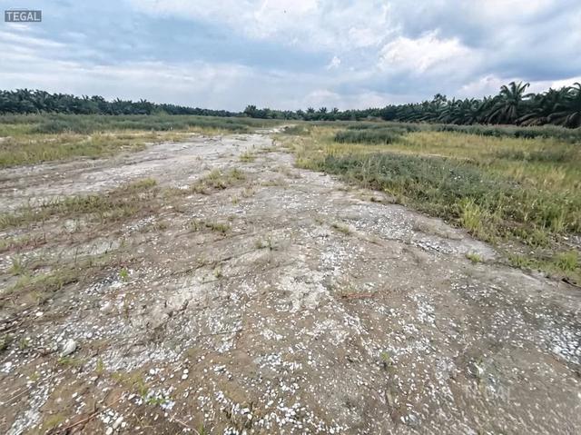 Below Market Agriculture Land 2.396 Acres Telok Gong Port Klang 1