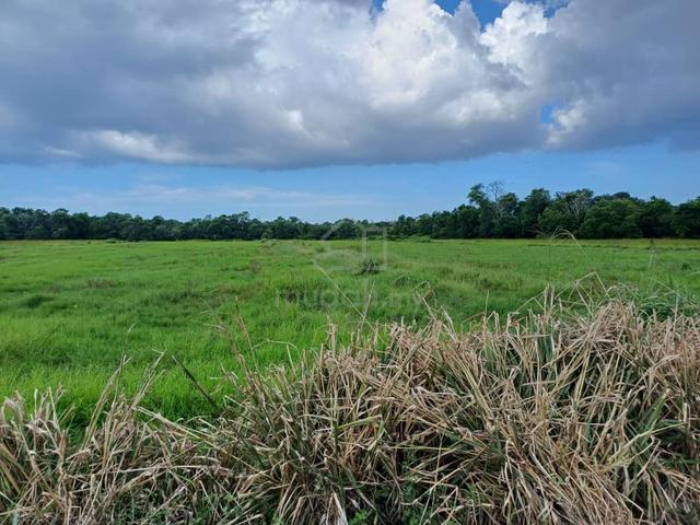 Iklan Tanah Sawah Untuk Dijual 1