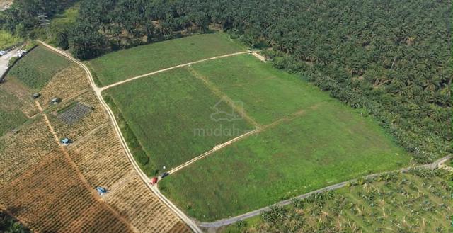 Kulai Jalan Sengkang 2 Agriculural Land 1