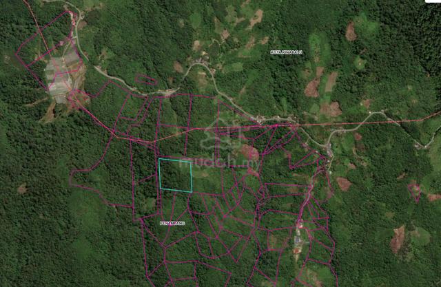 Empty land 10.02acres along Jalan Tambunan - KK road for sale 1