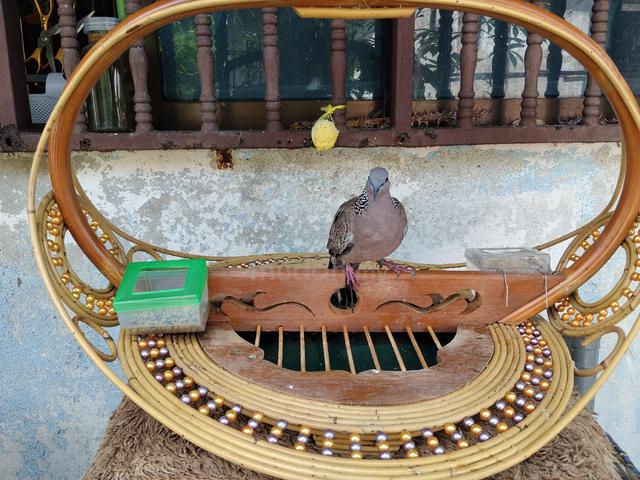 Carousel Image