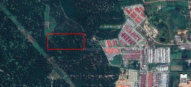 Freehold 10 acre palm oil plantation at jasin melaka for sale qpwqp 1