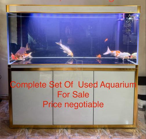 Carousel Image Selected