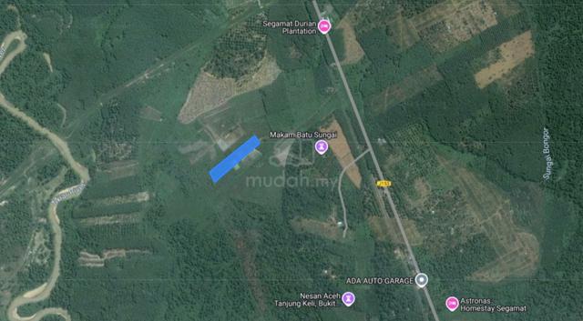 Tanah Pertanian Sawit Kampung Tangkong Buloh Kasap Segamat Johor 2