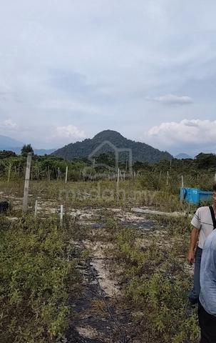 Land for rent  1